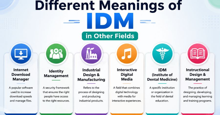 Different Meanings of IDM in Other Fields