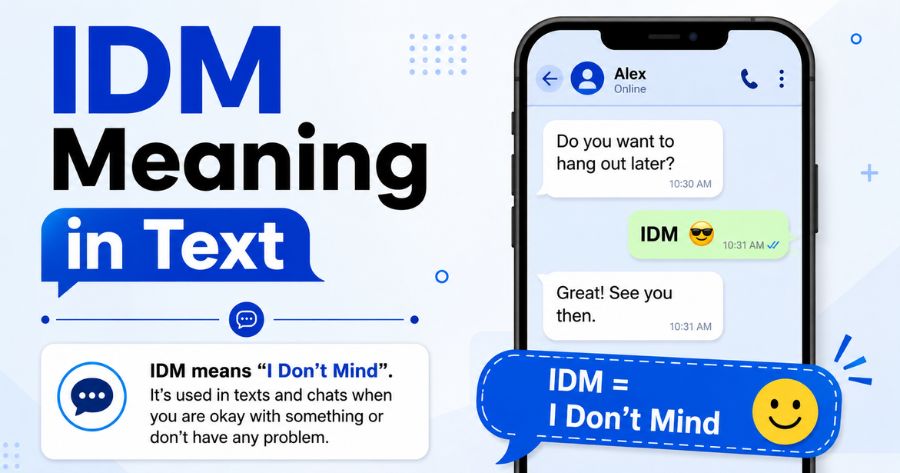 IDM Meaning in Text