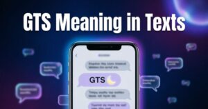 gts-meaning-in-texts