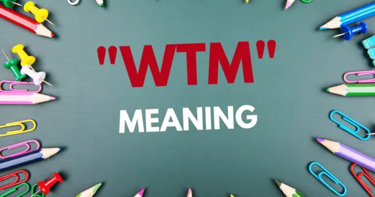 wtm-meaning-in-text