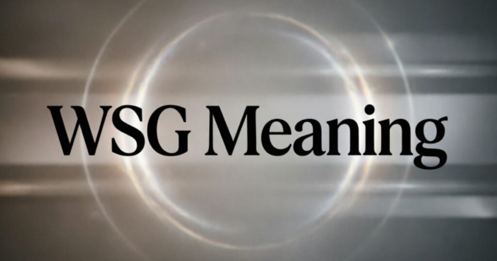 wsg-meaning-in-text-reply